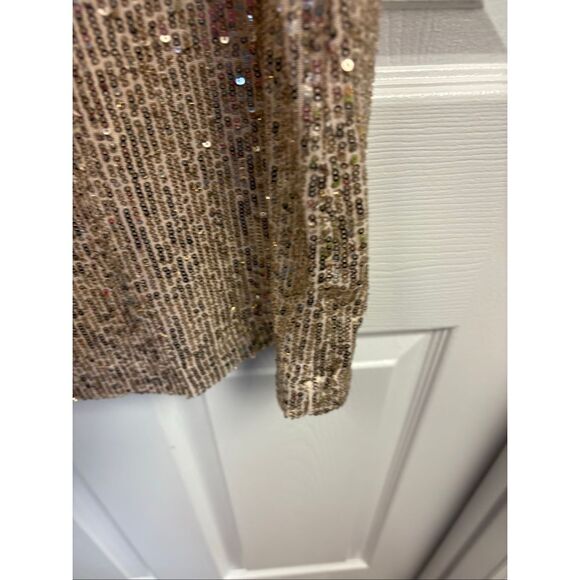 Rose Gold Sequin Embellished Dress - Picture 2 of 5